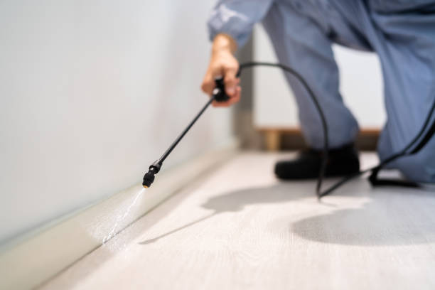 Licensed Termite Control service in Kenton, OH - Nex Pest Control