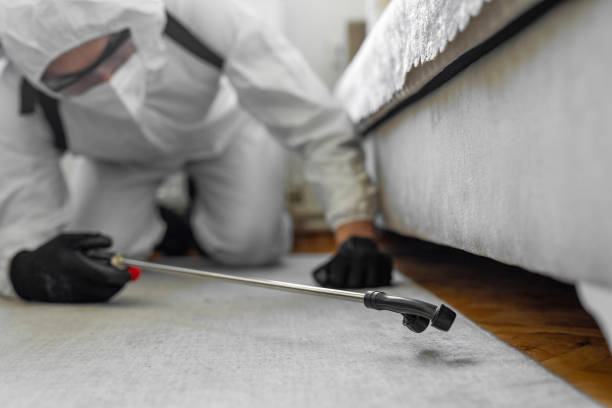 Professional Termite Control technician working in Kenton, OH