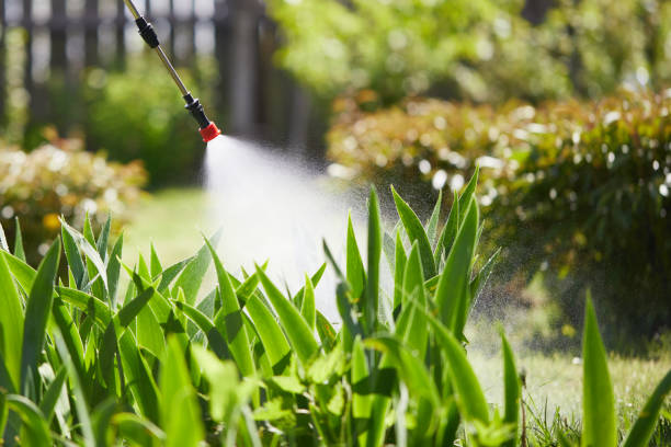 24/7 Emergency Termite Control experts in Kenton, OH