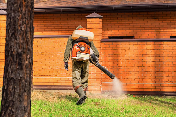 Top rated local Termite Control specialists in Kenton, OH